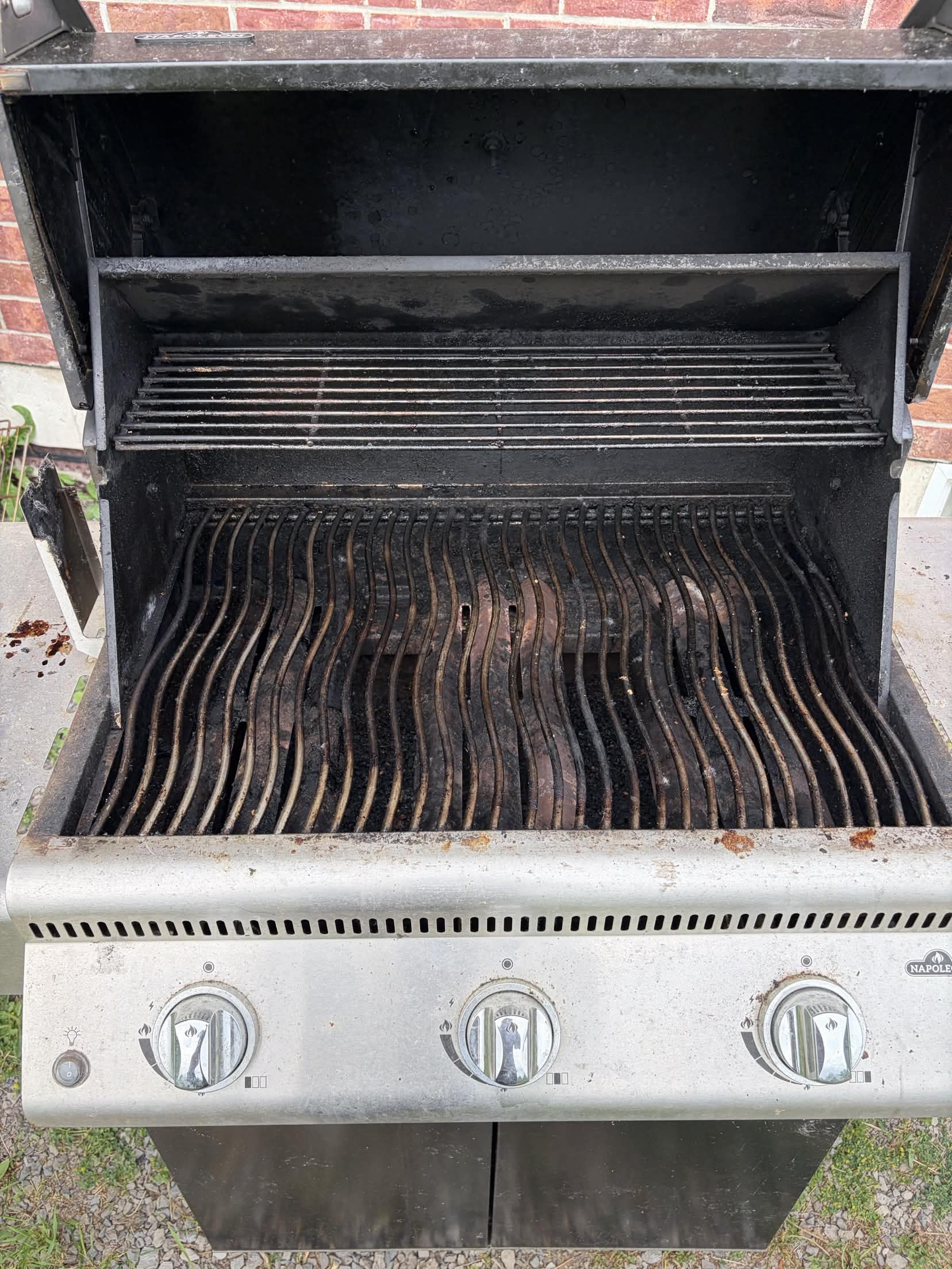 Smokies grill cleaning job - photo 2